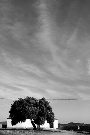 Electric pollution - Forte S. Vicente - T. Vedras