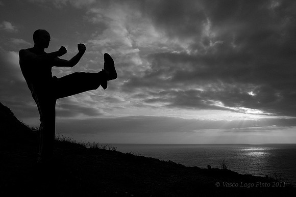 Salva Martial Arts