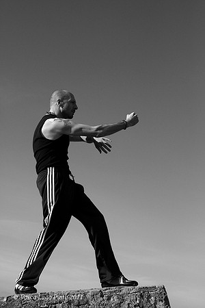 Salva Martial Arts